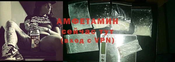 a pvp Новозыбков