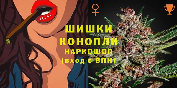 a pvp Новозыбков