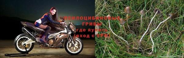 дистиллят марихуана Нея
